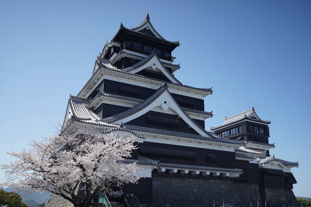 熊本城の桜_メーン