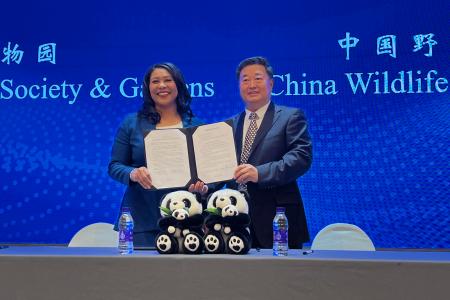 　１９日、北京で行われた米西部サンフランシスコとのジャイアントパンダ保護に向けた調印式（ＡＰ＝共同）