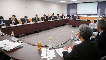 　核融合発電の安全規制を議論する作業部会＝１０日午後、東京都内