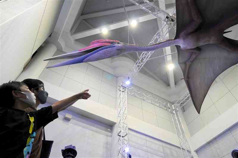 「世界の大翼竜展」が開幕した熊本博物館をマスク着用で訪れ、体長が10メートルを超える巨大翼竜の模型を指さす親子＝16日、熊本市中央区
