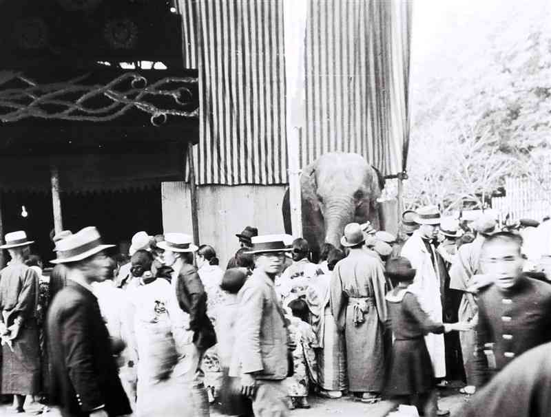 青井阿蘇神社の祭り。サーカスの入り口＝1936年10月10日