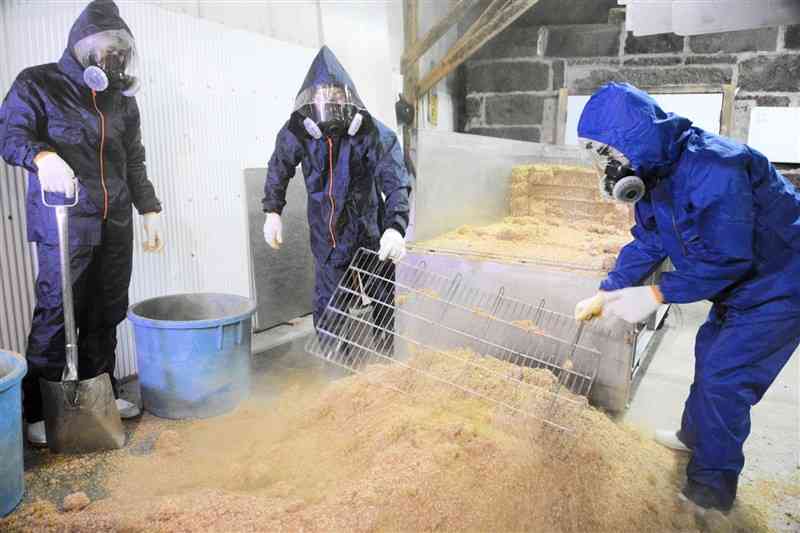 小麦と脱脂加工大豆を交ぜたもろみこうじを取り出す社員たち＝人吉市