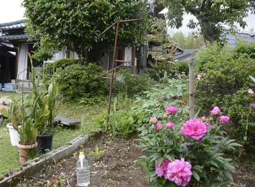 倒壊した内村宗春さん宅。庭には、宗春さんが育てていたという花が美しく咲いていた＝７日、益城町平田