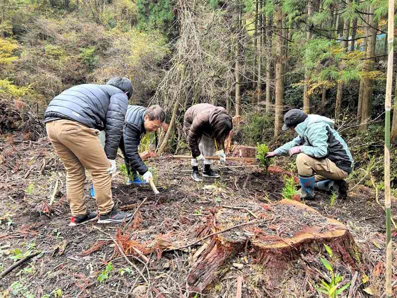 明和不動産と「和の会」が企画した森林ツアーで、スギの植林を体験する参加者たち＝11月、小国町