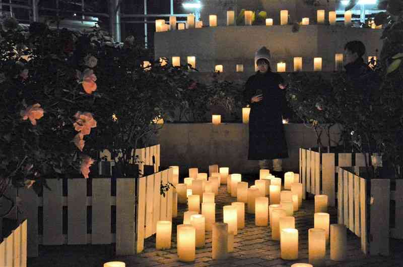 バラ園を約5千本のろうそくが幻想的に照らす「阿蘇キャンドルナイト」＝1日、阿蘇市