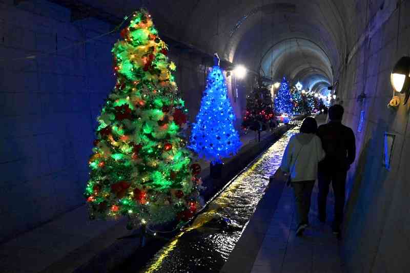 華やかなクリスマスツリーが並ぶ高森湧水トンネル公園＝4日、高森町