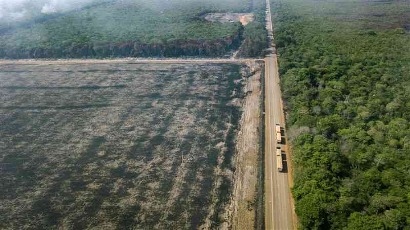農地にするため焼きはらわれた（A）のアマゾンの森＝2019年8月（ゲッティ＝共同）