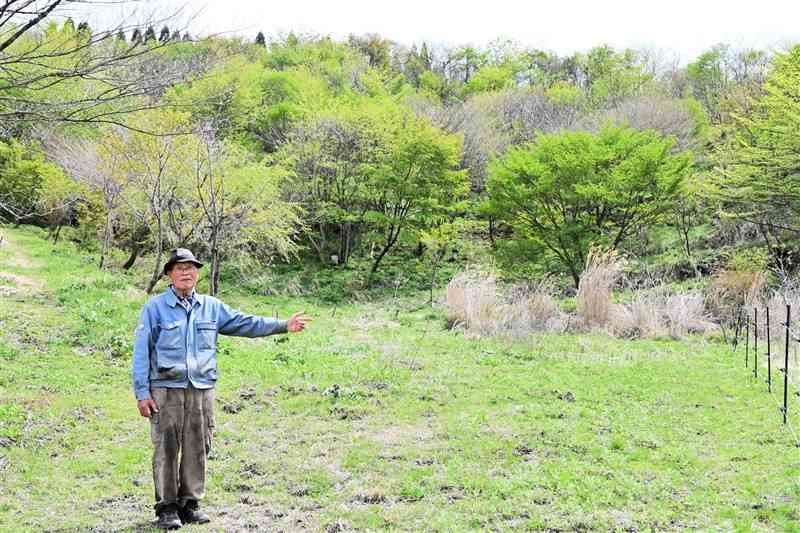 野鳥や自然の保護活動を40年続けてきた平野虎丸さん。一帯には「日本一花の森」と名付けた自然林50ヘクタールが広がる＝19日、高森町