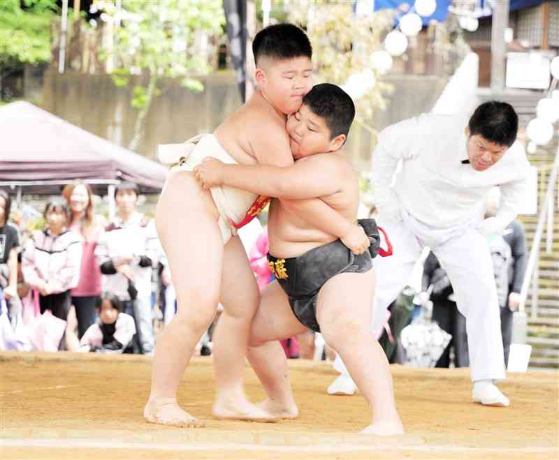佐敷諏訪神社で開かれた少年相撲大会で熱戦を繰り広げる子どもたち＝29日、芦北町