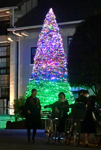 気分はクリスマス ２万個のイルミ点灯 熊本市の九州ルーテル学院一帯 熊本日日新聞社