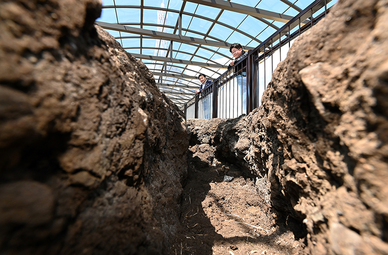 熊本地震の本震で露出した長さ３０メートル、深さ７０センチの断層。屋根を設け、一般公開される＝2020年４月７日午前、南阿蘇村