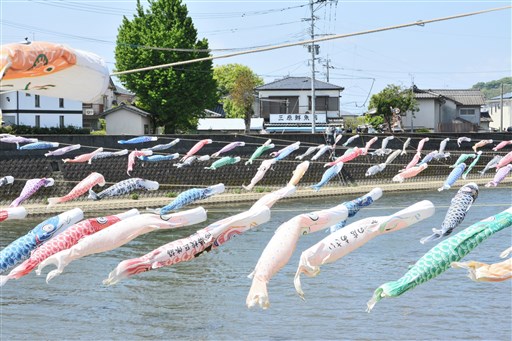 こいのぼり４００匹 坪井川に舞う 熊本市西区の高橋校区 熊本日日新聞社