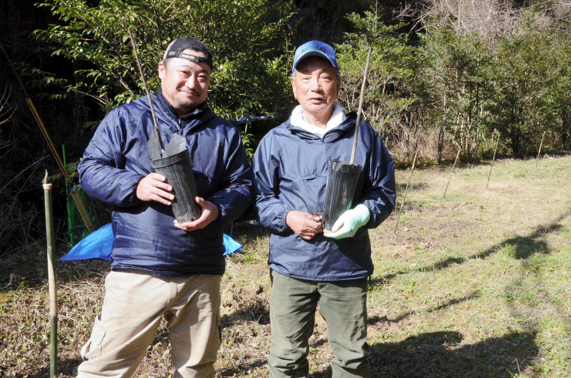 山椒栽培を地域活性化の 刺激 に 甲佐町宮内 産地化へ始動 熊本日日新聞社