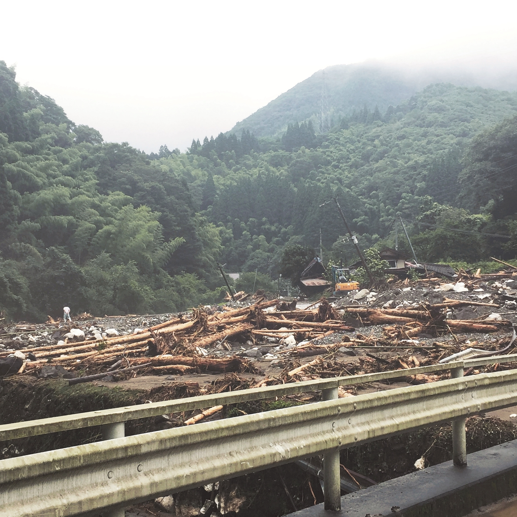 山椒栽培を地域活性化の 刺激 に 甲佐町宮内 産地化へ始動 熊本日日新聞社