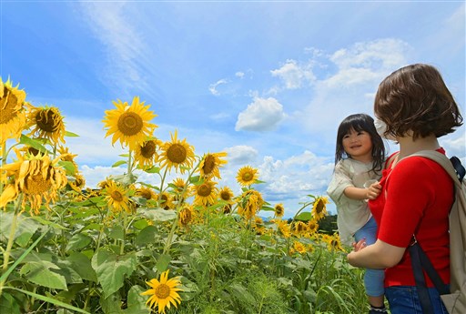 熊本県内が梅雨明け 夏本番へ 総雨量は平年並み 熊本日日新聞社