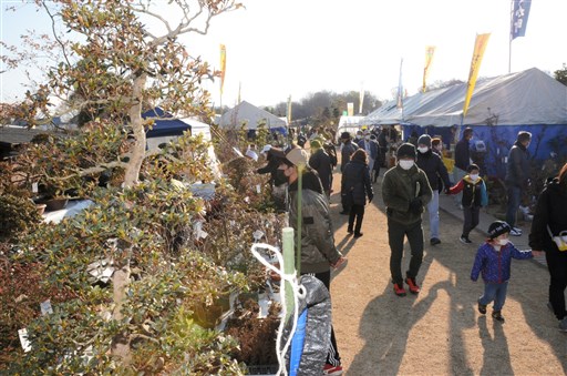 春の息吹感じて 新春恒例 ｊａ植木まつり開幕 合志市の県農業公園 熊本日日新聞社