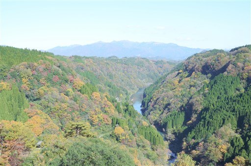 紅葉がピーク 山都町の蘇陽峡 空撮動画をｈｐで公開 熊本日日新聞社