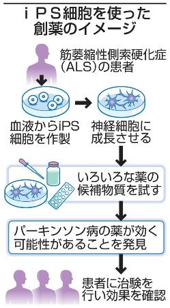 難病ａｌｓの進行抑制に効果の薬 ｉｐｓで発見 慶大 世界初 共同通信 熊本日日新聞社