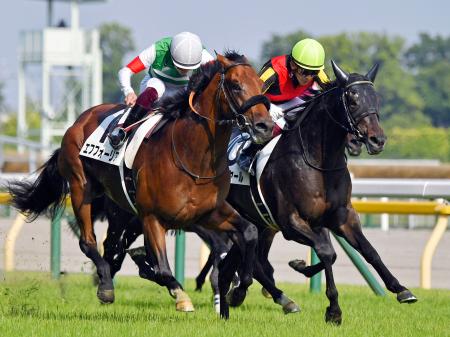 ダービー シャフリヤールが優勝 熊本日日新聞社