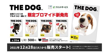 ブロマイド購入で犬猫支援 コンビニコピー機で販売 共同通信 熊本日日新聞社