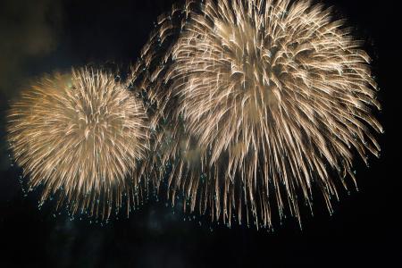 長岡花火 夏の夜空に大輪の花 新潟 ３年ぶり 共同通信 熊本日日新聞社