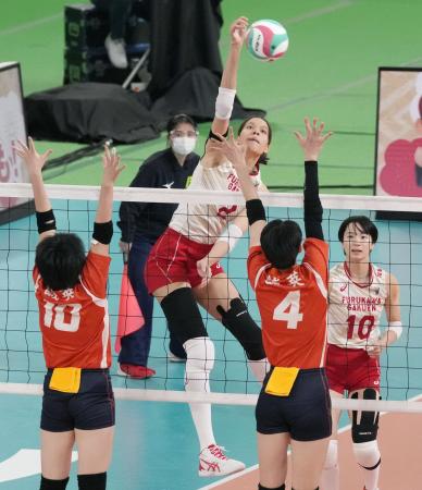 駿台学園、６大会ぶり優勝 女子は古川学園２３大会ぶりＶ（共同通信