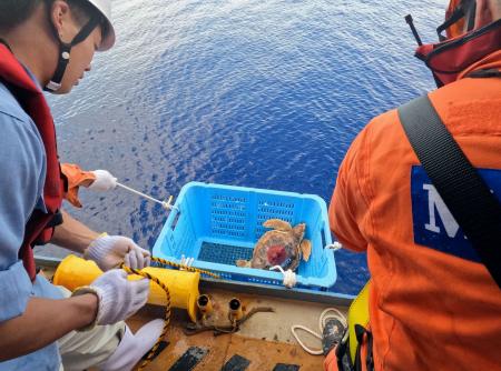 中部の水族館/中日新聞社-silversky-lifesciences.com