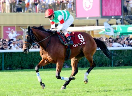 スルーセブンシーズは４着 凱旋門賞、日本馬Ｖならず（共同通信