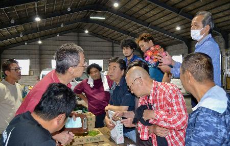 　和歌山県橋本市の青果市場で開かれたマツタケの初競り＝６日午後