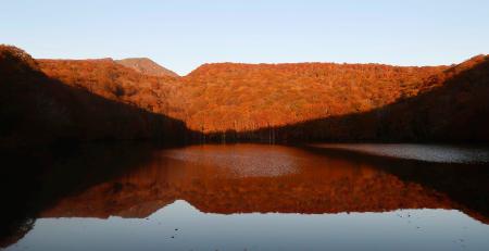 　紅葉が見頃を迎え、黄や赤に色づいたブナなどの自然林と蔦沼の水面＝２６日早朝、青森県十和田市