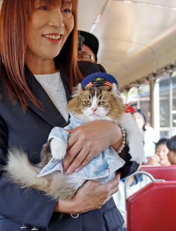 　会津鉄道芦ノ牧温泉駅の３代目名誉駅長に就任したネコの「さくら」＝５日午前、福島県会津若松市