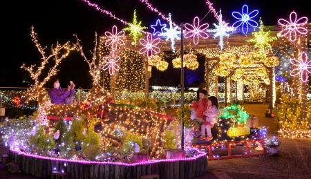 　関係者にお披露目された、とっとり花回廊の「フラワーイルミネーション」＝８日夜、鳥取県南部町