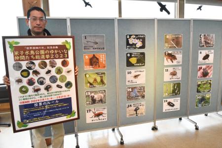 　鳥取県の米子水鳥公園で始まった「ゆかいな仲間たち総選挙」の会場。珍しい植物や昆虫などの「候補者」ポスターが並ぶ＝１日午前
