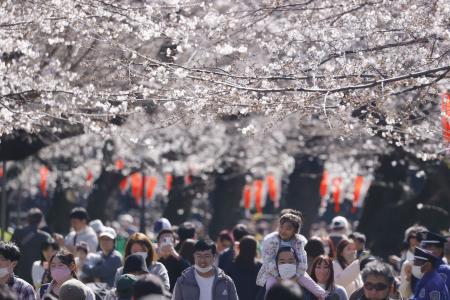 　東京・上野公園で桜を楽しむ人たち＝２０２３年３月
