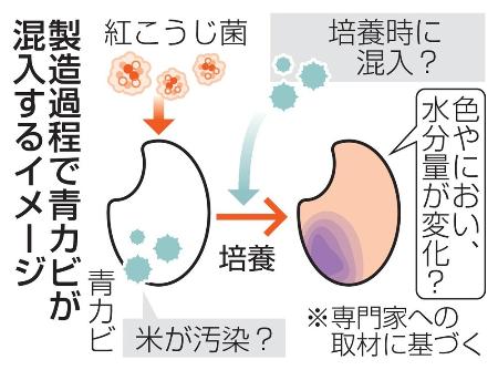 　製造過程で青カビが混入するイメージ