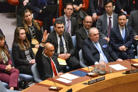 　パレスチナの国連正式加盟を勧告する決議案に、手を挙げて拒否権を行使する米国のウッド国連次席大使＝１８日、ニューヨークの国連本部（共同）