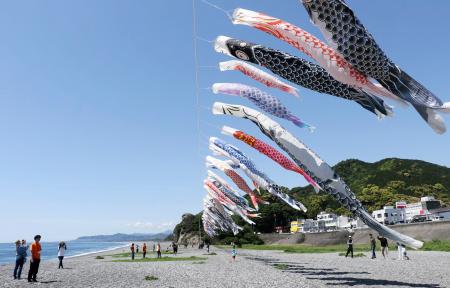 　三重県熊野市の七里御浜海岸に掲げられたこいのぼり＝２８日午前