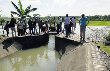 　フィリピンの水田の水路（国際農林水産業研究センター提供）