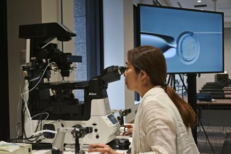 　ニコンが新たに開発した、顕微授精に使う顕微鏡のデモンストレーション＝４日午後、東京都中央区