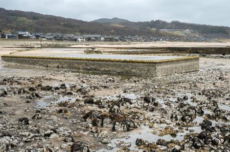 　海底が露出した黒島漁港＝１月、石川県輪島市門前町