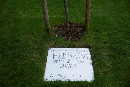 　イスラエル軍の攻撃で死亡したヒンド・ラジャブさんに捧げられたオークの木＝６月、アイルランド・ダブリン（ロイター＝共同）
