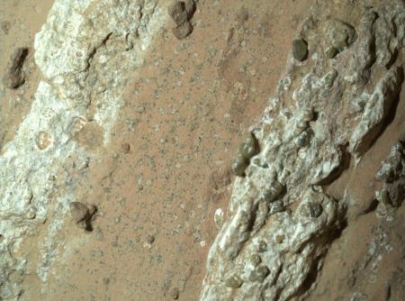 　火星探査車パーシビアランスが採取した岩。中央付近にヒョウ柄のような斑点が見える（ＮＡＳＡなど提供・共同）