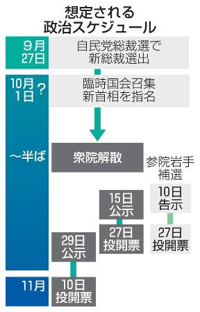 　想定される政治スケジュール