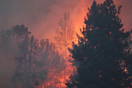 　強い熱波の中で発生した森林火災＝９月１１日、米西部カリフォルニア州（ゲッティ＝共同）