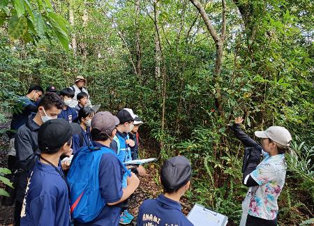 　「子ども世界自然遺産講座」で鹿児島県・奄美大島の金作原を観察する子どもたち＝１２日（奄美大島自然保護協議会提供）