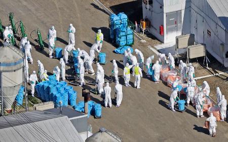 　北海道厚真町の養鶏場で殺処分作業を進める関係者＝１７日午前１０時４０分（共同通信社ヘリから）