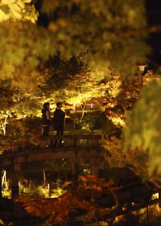 　紅葉の名所として知られる永観堂禅林寺で行われた、夜の特別拝観「もみじのライトアップ」の試験点灯＝６日夜、京都市