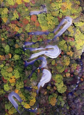 　紅葉が見頃となったいろは坂＝２０２１年１０月、栃木県日光市