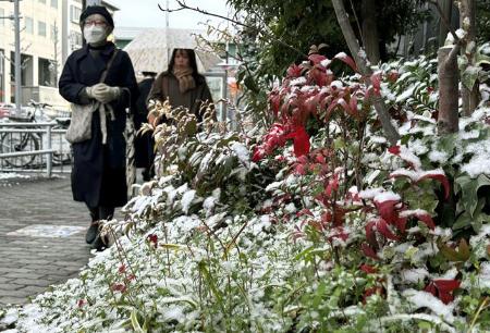 　雪が積もった名古屋市内＝１０日午前