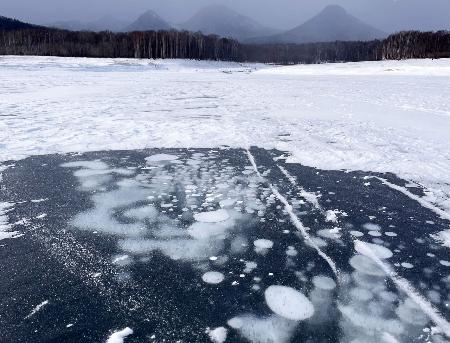 　北海道上士幌町の糠平湖に出現した「アイスバブル」＝１５日午前